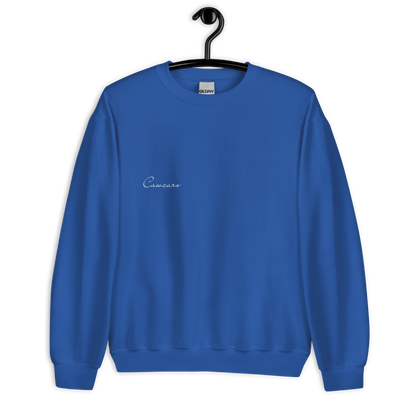 Focus ST X FMC Sweatshirt